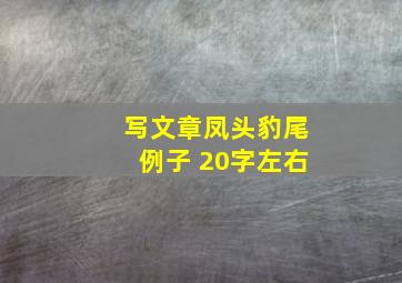 写文章凤头豹尾例子 20字左右